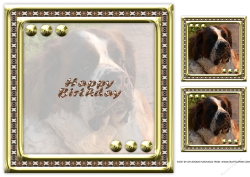 JJ LOVE MY DOG ST BERNARD 8X8 INSERT HAPPY BIRTHDAY