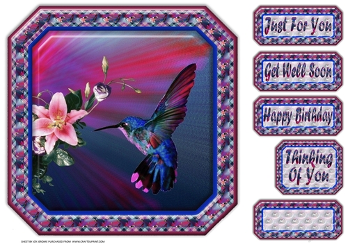JJ HUMMINGBIRD 8X8