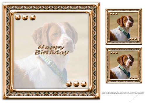  JJ LOVE MY DOG BRITTANY SPANIEL 8X8 INSERT HAPPY BIRTHDAY