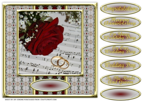 JJ RED ROSE WEDDING OR ANNIVERSARY 8X8