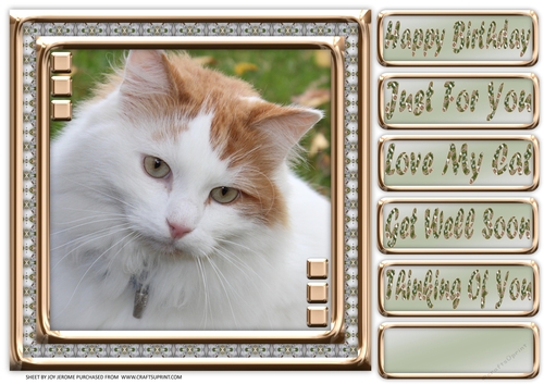 JJ LOVE MY CAT 1 8X8
