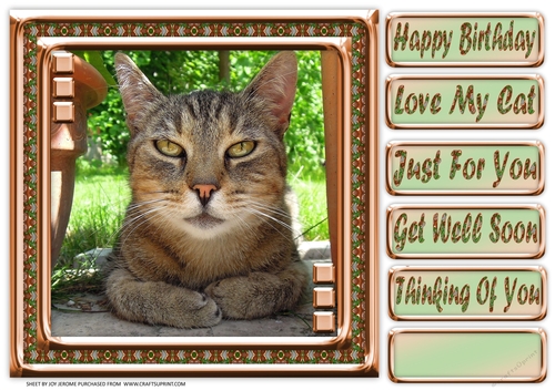 JJ LOVE MY CAT 2 8X8