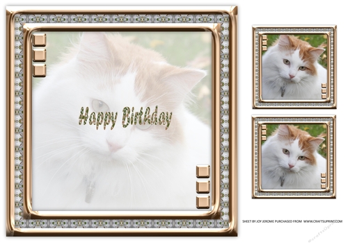 JJ LOVE MY CAT 1 8X8 INSERT HAPPY BIRTHDAY.