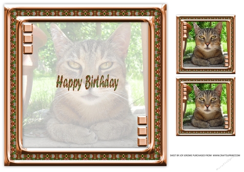  JJ LOVE MY CAT 2 8X8 INSERT HAPPY BIRTHDAY