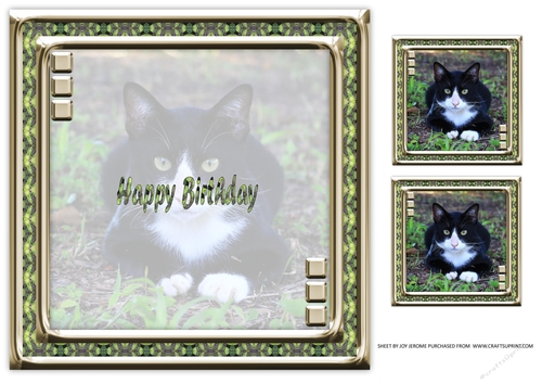  JJ LOVE MY CAT 3 8X8 INSERT HAPPY BIRTHDAY