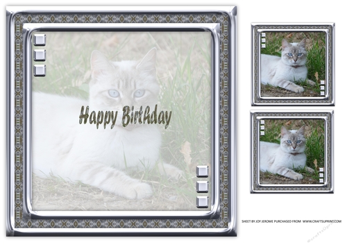 JJ LOVE MY CAT 4 8X8 INSERT HAPPY BIRTHDAY