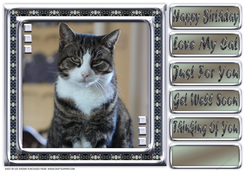 JJ LOVE MY CAT 5 8X8