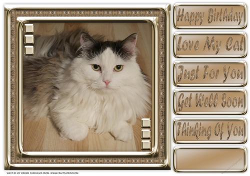 JJ LOVE MY CAT 6 8X8