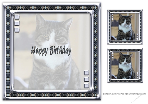 JJ LOVE MY CAT 5 8X8 INSERT HAPPY BIRTHDAY