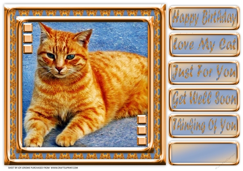 JJ LOVE MY CAT 7 8X8