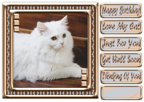 JJ LOVE MY CAT 8 8X8