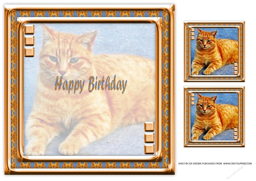 JJ LOVE MY CAT 7 8X8 INSERT HAPPY BIRTHDAY