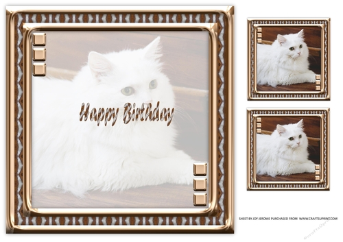JJ LOVE MY CAT 8 8X8 INSERT HAPPY BIRTHDAY