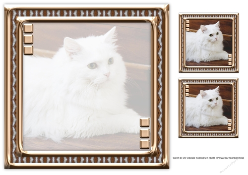 JJ LOVE MY CAT 8 8X8 INSERT BLANK