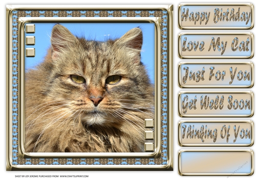 JJ LOVE MY CAT 10 8X8