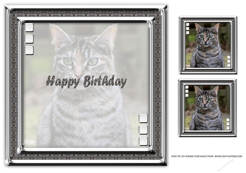 JJ LOVE MY CAT 9 8X8 INSERT HAPPY BIRTHDAY