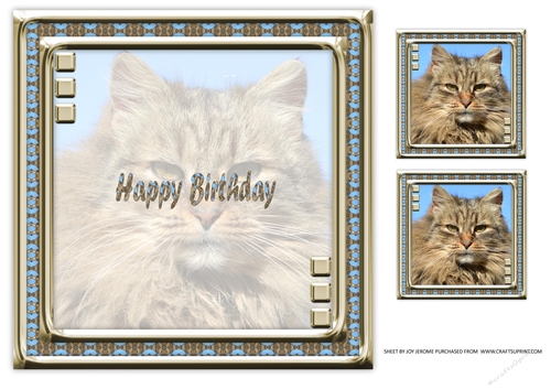 JJ LOVE MY CAT 10 8X8 INSERT HAPPY BIRTHDAY
