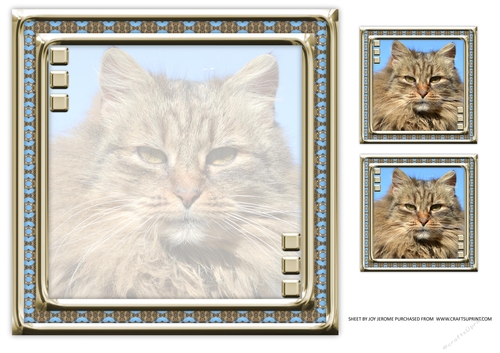 JJ LOVE MY CAT 10 8X8 INSERT BLANK