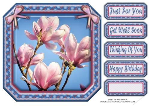  JJ MAGNOLIA 8X8