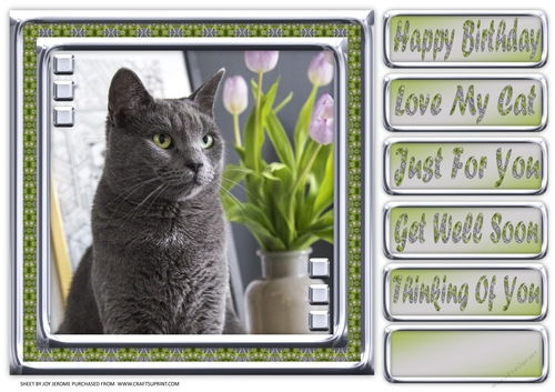 JJ LOVE MY CAT 11 8X8 