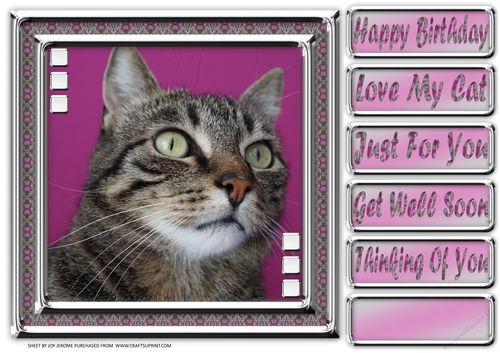 JJ LOVE MY CAT 12 8X8