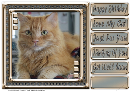 JJ LOVE MY CAT 13 8X8