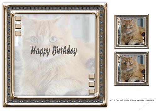 JJ LOVE MY CAT 13 8X8 INSERT HAPPY BIRTHDAY.