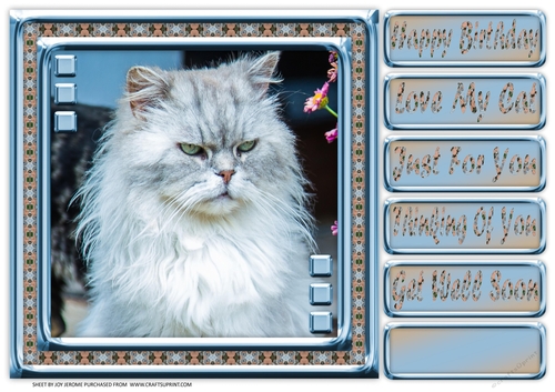 JJ LOVE MY CAT 14 8X8