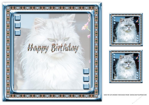 JJ LOVE MY CAT 14 8X8 INSERT HAPPY BIRTHDAY