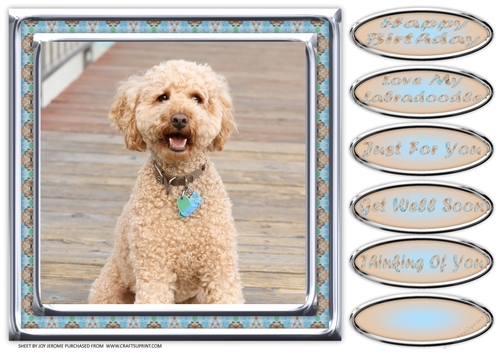  JJ LOVE MY DOG LABRADOODLE 1A 8X8