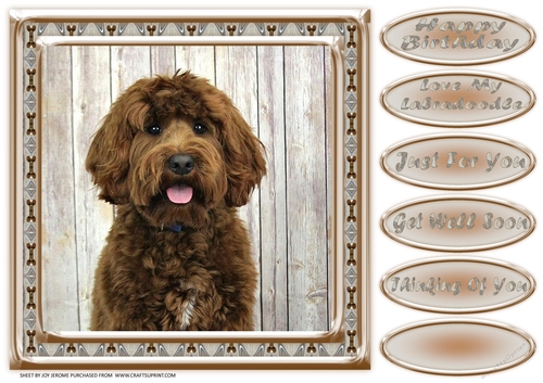 JJ LOVE MY DOG LABRADOODLE 2A 8X8