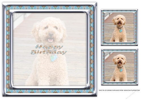  JJ LOVE MY DOG LABRADOODLE 1A 8X8 INSERT HAPPY BIRTHDAY