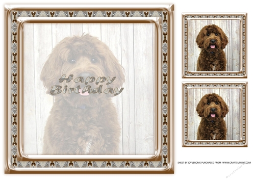 JJ LOVE MY DOG LABRADOODLE 2A 8X8 INSERT HAPPY BIRTHDAY