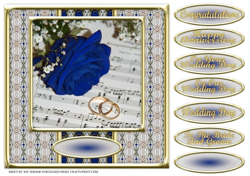 JJ BLUE ROSE WEDDING OR ANNIVERSARY 8X8