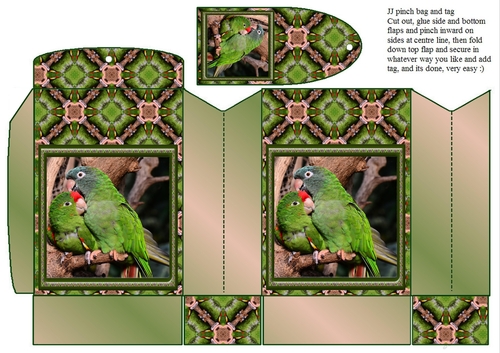  JJ FRIENDS FOREVER PARROTS PINCHBAG AND TAG