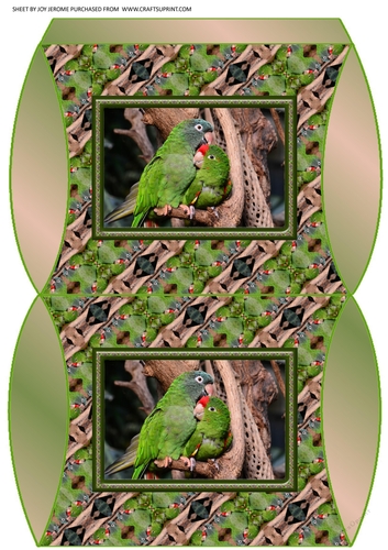 JJ FRIENDS FOREVER PARROTS PILLOW BOX
