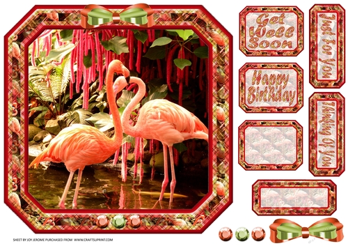 JJ FLAMBOYANT FLAMINGOS 8X8