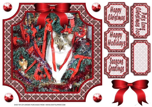 JJ PETS LOVE CHRISTMAS TOO WHERE IS THE TURKEY 8x8