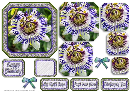 JJ PASSION FLOWER 5X5 PYRAMAGE 1