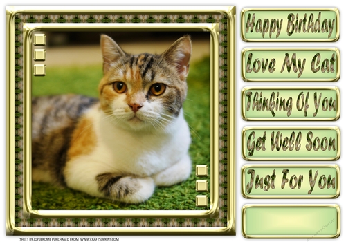 JJ LOVE MY CAT 15 8X8