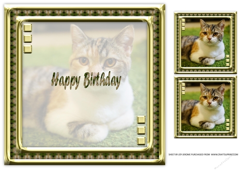 JJ LOVE MY CAT 15 8X8 INSERT HAPPY BIRTHDAY