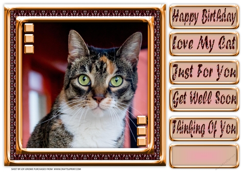 JJ LOVE MY CAT 16 8X8