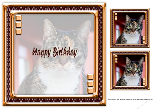 JJ LOVE MY CAT 16 8X8 INSERT HAPPY BIRTHDAY