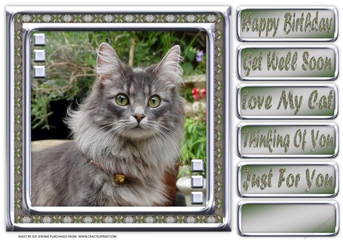 JJ LOVE MY CAT 17 8X8