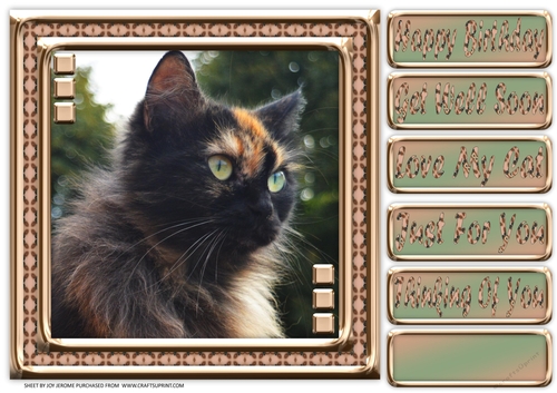 JJ LOVE MY CAT 18 8X8