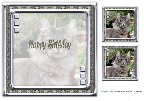  JJ LOVE MY CAT 17 8X8 INSERT HAPPY BIRTHDAY.