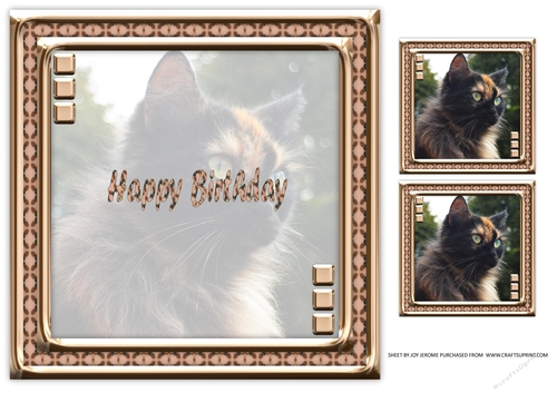  JJ LOVE MY CAT 18 8X8 INSERT HAPPY BIRTHDAY.