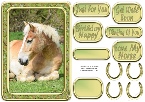 JJ LOVE MY HORSE A5 QUICK CARD 1