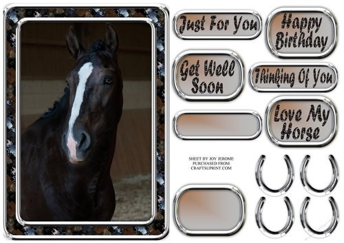 JJ LOVE MY HORSE A5 QUICK CARD 2