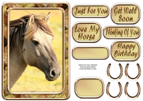 JJ LOVE MY HORSE A5 QUICK CARD 3